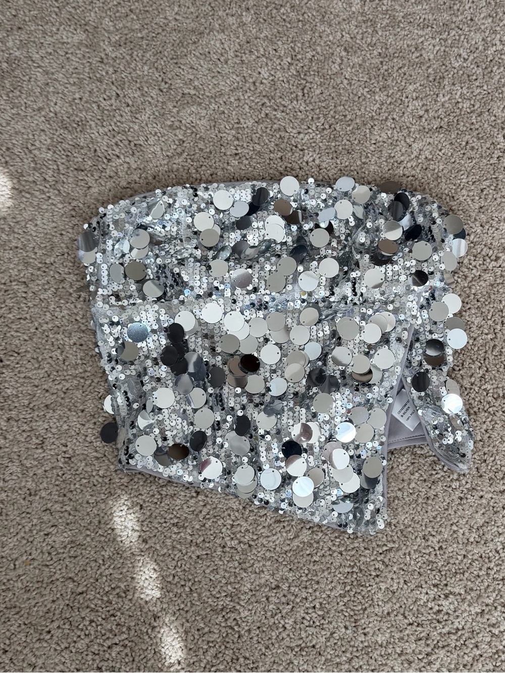 Cider Silver Sequin Tube Top